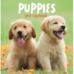 Calendar Square - Puppies