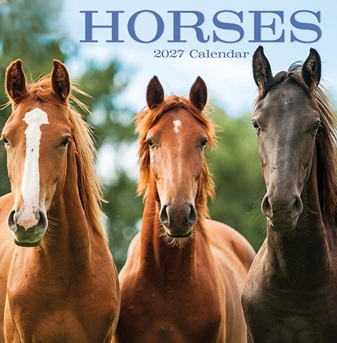 Calendar Square - Horses