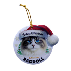 TSK Christmas Sentiment Plaque - Ragdoll Cat