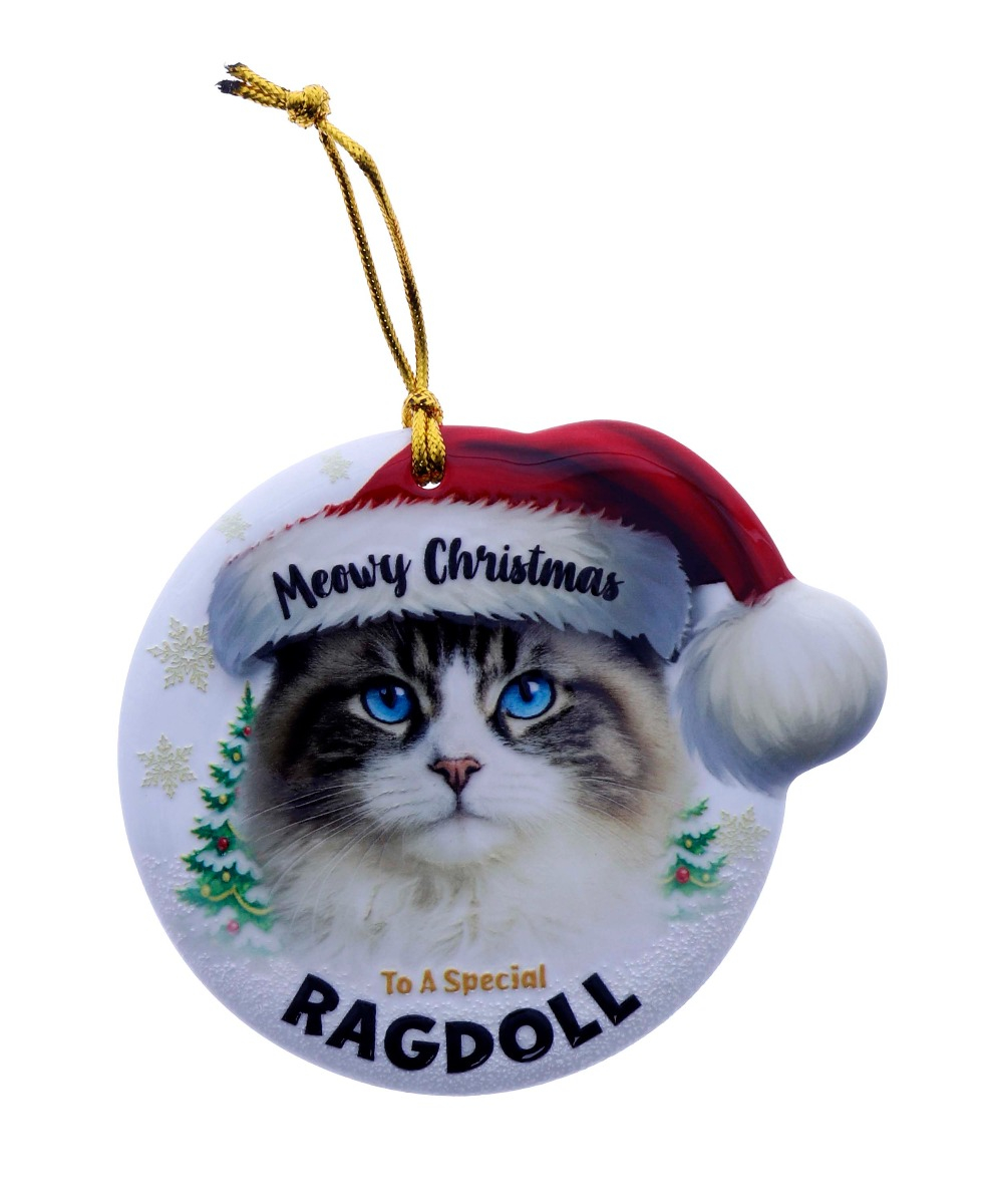 TSK Christmas Sentiment Plaque - Ragdoll Cat