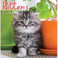 Calendar Square - Kittens