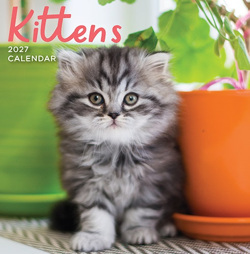 Calendar Square - Kittens
