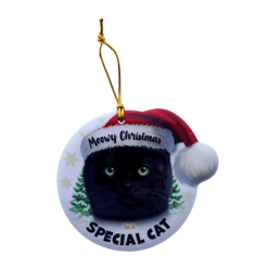 TSK Christmas Sentiment Plaque - Black Cat