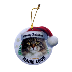 TSK Christmas Sentiment Plaque - Maine Coon Cat