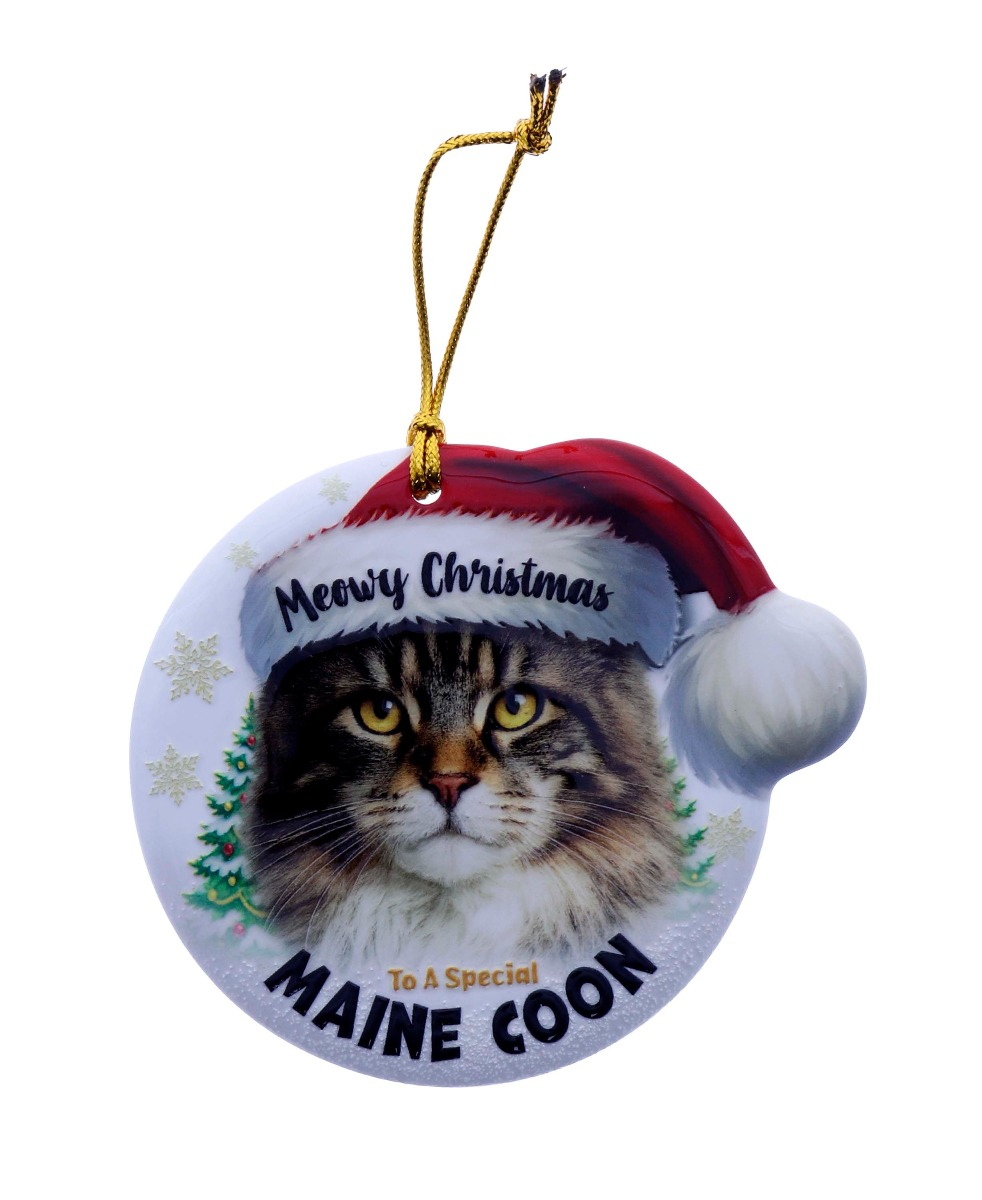 TSK Christmas Sentiment Plaque - Maine Coon Cat