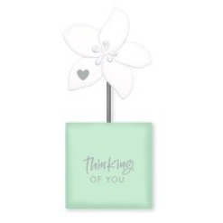 House of Sentiments - Frangipani