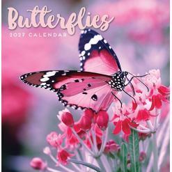 Calendar Square - Butterflies