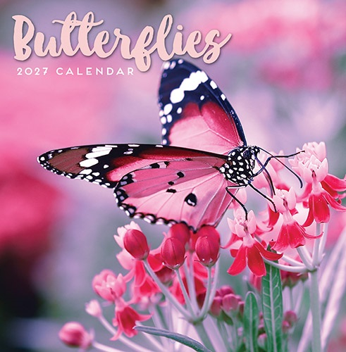 Calendar Square - Butterflies